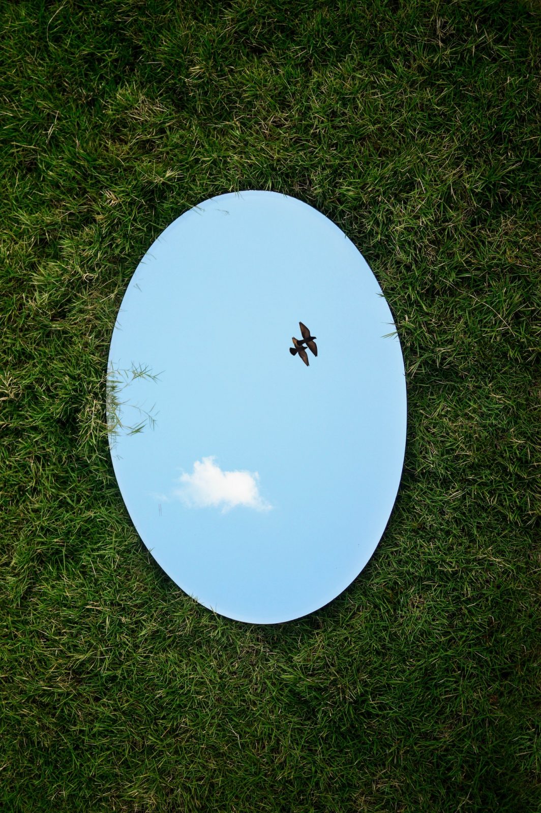 фотография зеркала на траве