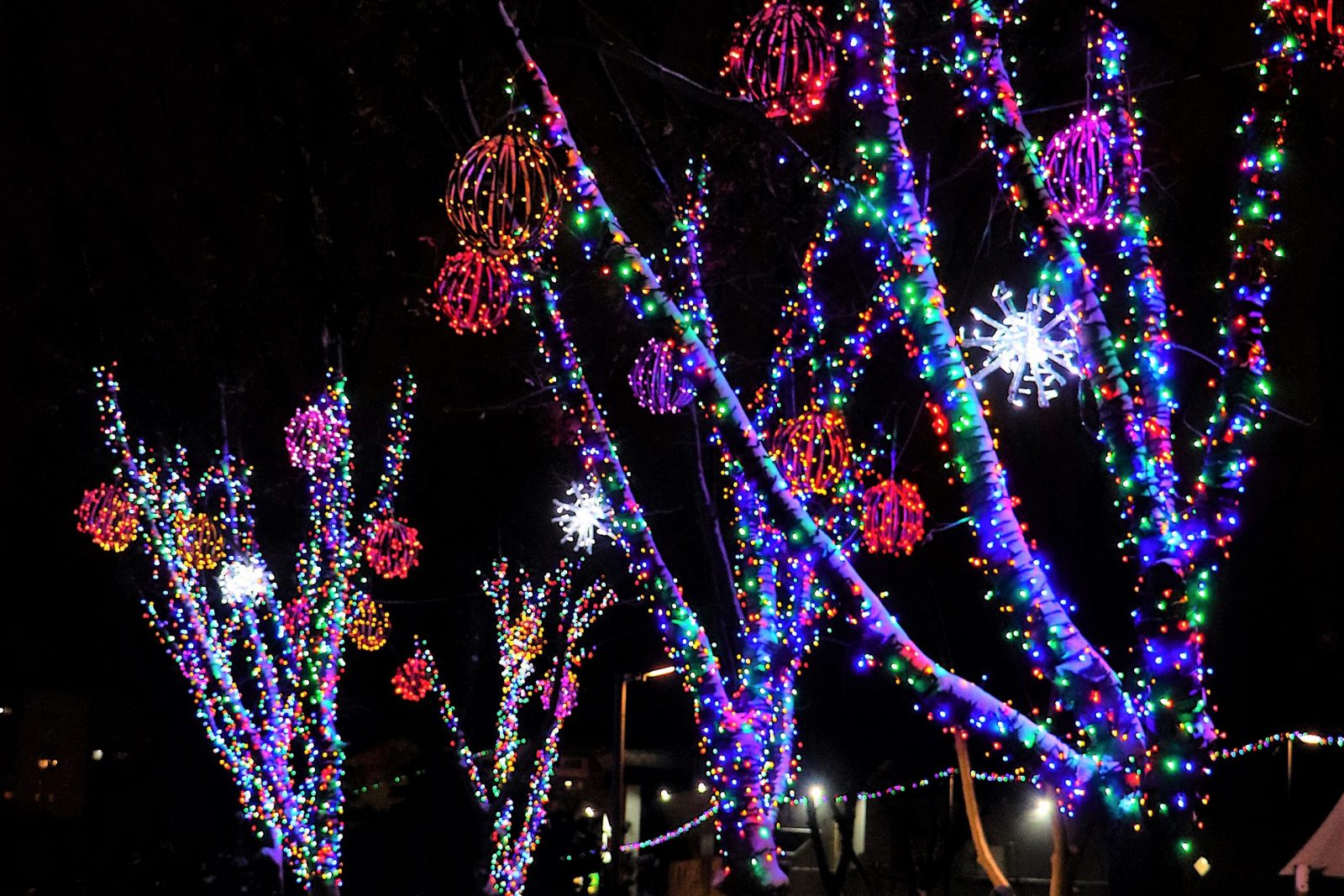 Маріуполь туристичне місто • Святкова площа Свободи сяє новорічними вогниками